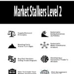 market-stalkers-level-2.jpg