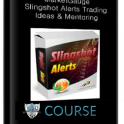 marketgauge-slingshot-alerts-trading-ideas-mentoring