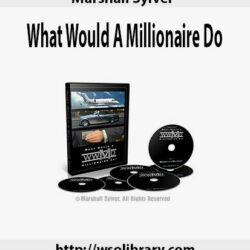 marshall-sylver-what-would-a-millionaire-do