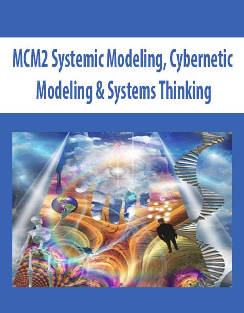MCM2 Systemic Modeling; Cybernetic Modeling & Systems Thinking