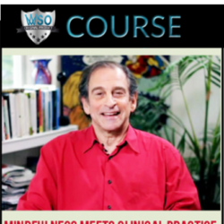 mindfulness-meets-clinical-practice-a-new-paradigm-for-healing
