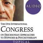 IC19 Topical Panel 11 – Use of Humor – Rick Miller, Donald Miretsky, Bill O’Hanlon