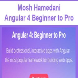 Mosh Hamedani - Angular 4 Beginner to Pro