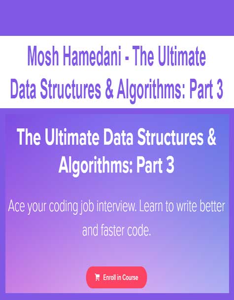 Mosh Hamedani - The Ultimate Data Structures & Algorithms