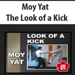 Moy Yat - The Look of a Kick