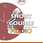 BT18 Short Course 04 – The 9 Logics Beneath the Brief Therapy Interventions – Flavio Cannistra, MS, PsyD