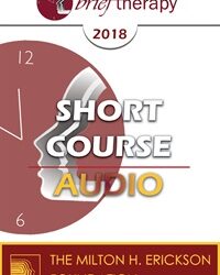 BT18 Short Course 04 - The 9 Logics Beneath the Brief Therapy Interventions - Flavio Cannistra, MS, PsyD