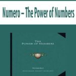 Numero-The-Power-of-Numbers