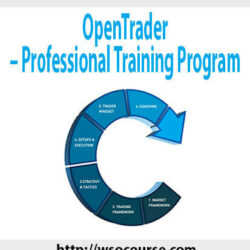 opentrader-professional-training-program-1
