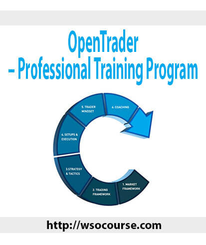 opentrader-professional-training-program-1