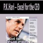 P.K.Hari-Excel-for-the-CEO