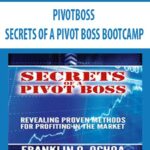 PIVOTBOSS-SECRETS-OF-A-PIVOT-BOSS-BOOTCAMP