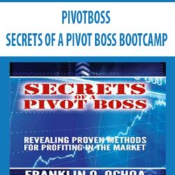 PIVOTBOSS – SECRETS OF A PIVOT BOSS BOOTCAMP