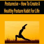Posturecise-How-To-Create-A-Healthy-Posture-Habit-For-Life