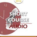 BT16 Short Course 5 – The Hero Within – Christine Guilloux, DESS Psychology