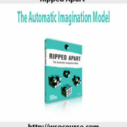 ripped-apart-the-automatic-imagination-model-2