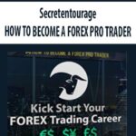 Secretentourage-HOW-TO-BECOME-A-FOREX-PRO-TRADER