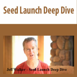 Seed Launch Deep Dive