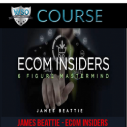 shopify-100k-mastery-the-shopify-domination-ecommerce-course