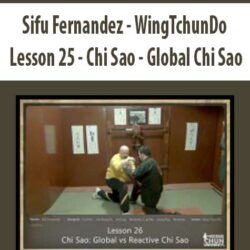 Sifu Fernandez - WingTchunDo - Lesson 25 - Chi Sao - Global Chi Sao