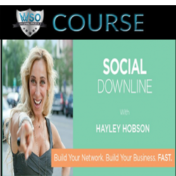 social-downline-build-your-business-fast-1