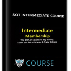 sot-intermediate-course-may-2014