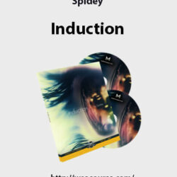 spidey-induction2