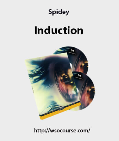 spidey-induction2