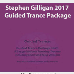 stephen-gilligan-2017-guided-trance-package2