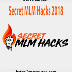 steve-larsen-secret-mlm-hacks-2018