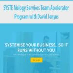 SYSTE-Mology-Services-Team-Accelerator-Program-with-David-Jenyns