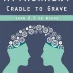 Attachment – Cradle to Grave