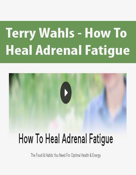 Terry Wahls - How To Heal Adrenal Fatigue