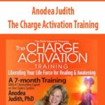 The-Charge-Activation-Training-Anodea-Judith