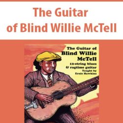 The Guitar of Blind Willie McTell
