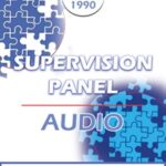 EP90 Supervision Panel 03 – Salvador Minuchin, M.D. Carl Whitaker, M.D. Joseph Wolpe, M.D.