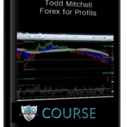 todd-mitchell-forex-for-profits