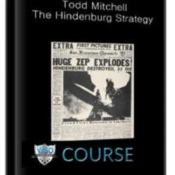 todd-mitchell-the-hindenburg-strategy
