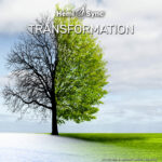 Transformation_2021-scaled