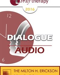 BT16 Dialogue 6 - The Experiences of Two Seasoned Therapists