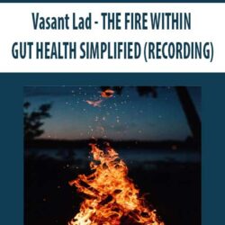 Vasant Lad - THE FIRE WITHIN