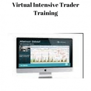 virtual-intensive-trader-training
