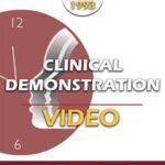 BT93 Clinical Demonstration 14 – A Self-Relations Approach to Brief Therapy – Stephen Gilligan, PhD