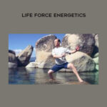 Lee Holden – Life Force Energetics