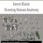 Aaron Blaise – Drawing Human Anatomy