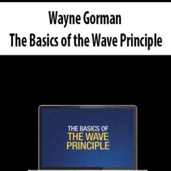 Wayne Gorman - The Basics of the Wave Principle
