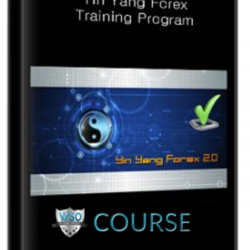 yin-yang-forex-training-program