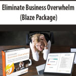 Eliminate-Business-Overwhelm-Blaze-Package.jpg