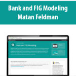 Bank-and-FIG-Modeling-By-Matan-Feldman.jpg