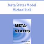 Meta-States-Model-by-Michael-Hall.jpg